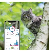 IKATI GPS Tracker Katze